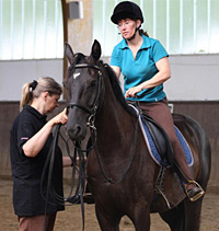 Hilfe bei der Ausbildung junger Pferde